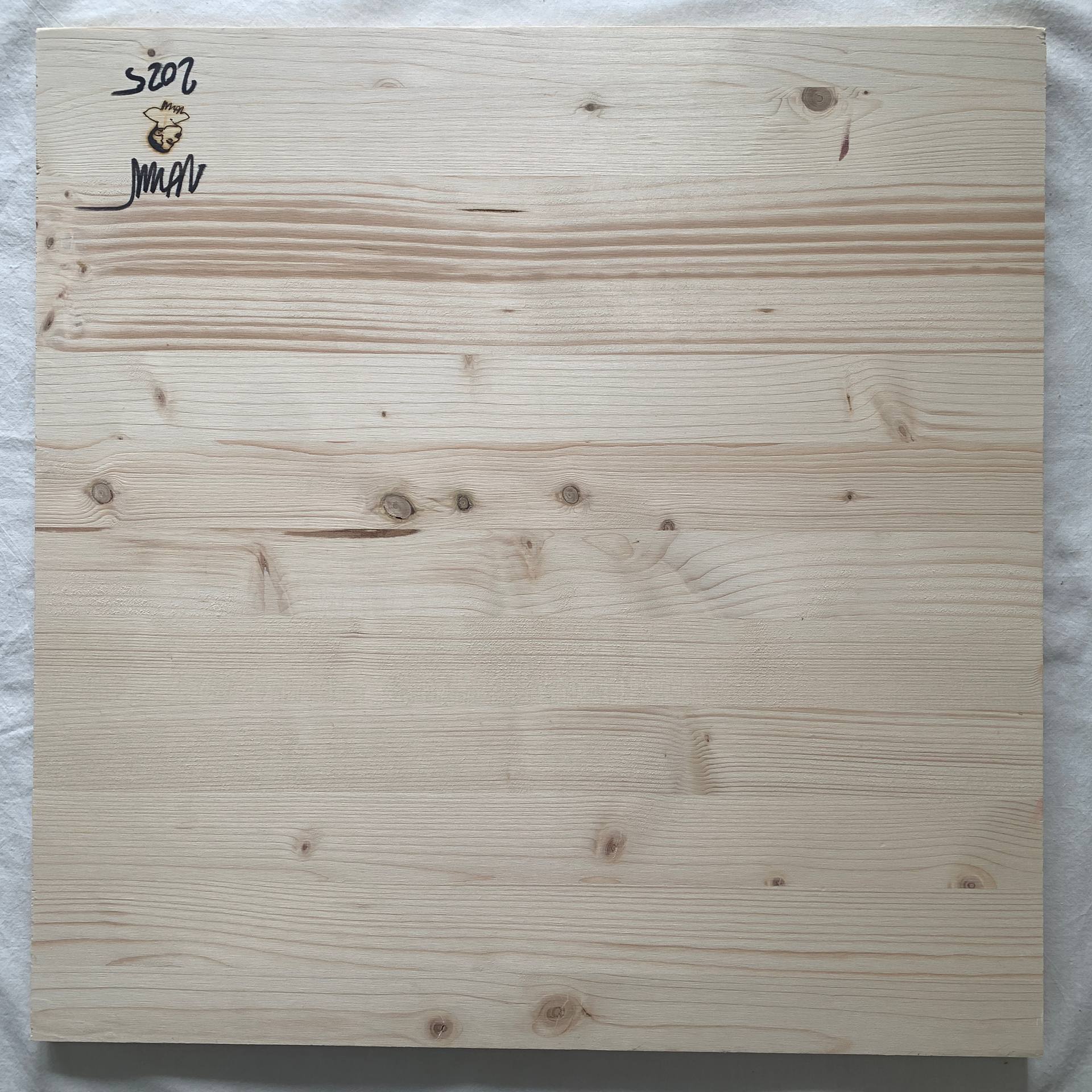 GIOVANNA DE MEDICI (painting)